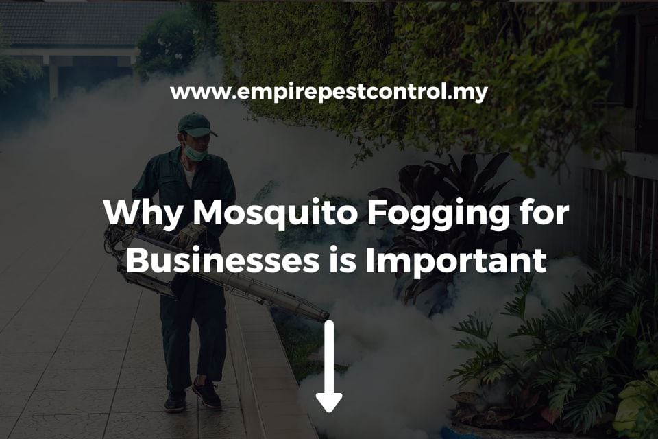 Why Mosquito Fogging for Businesses is Important