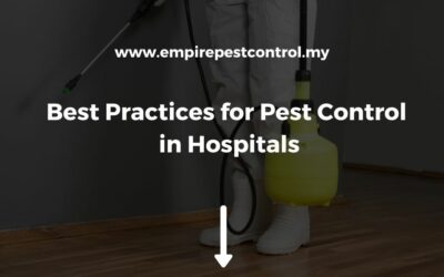 Best Practices for Pest Control in Hospitals
