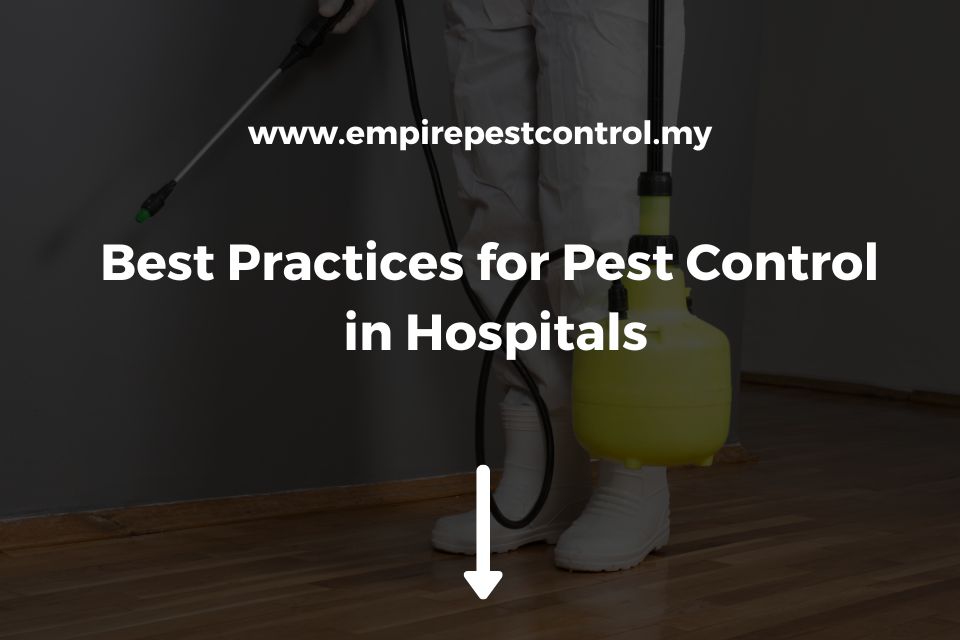 Best Practices for Pest Control in Hospitals