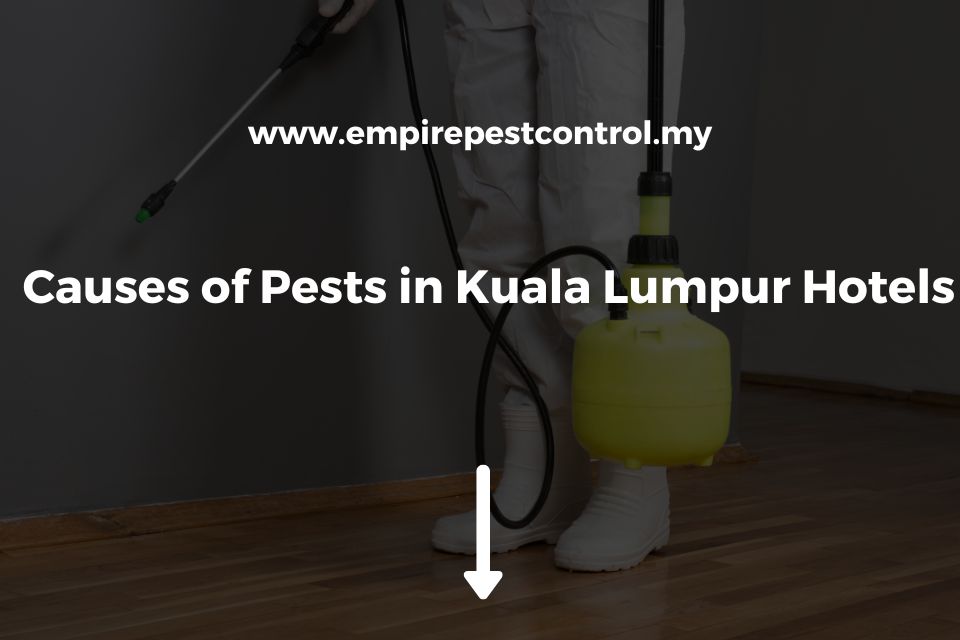 Causes of Pests in Kuala Lumpur Hotels