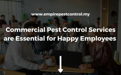 Commercial Pest Control Services are Essential for Happy Employees