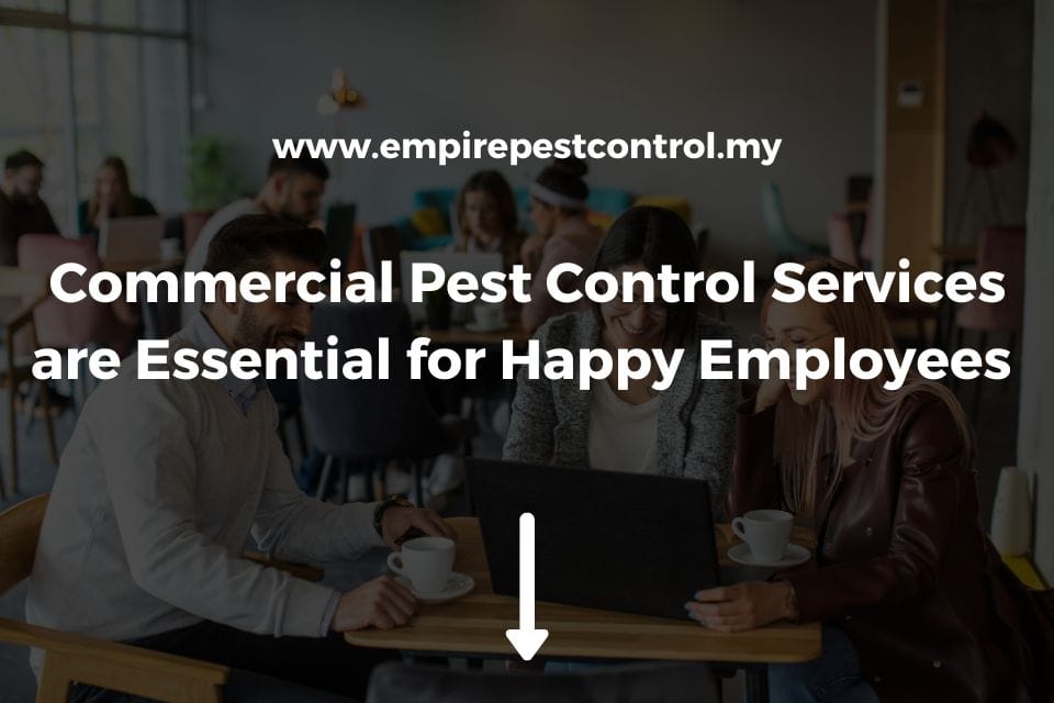 Commercial Pest Control Services are Essential for Happy Employees