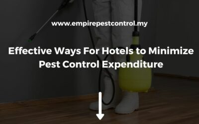 Effective Ways For Hotels to Minimize Pest Control Expenditure