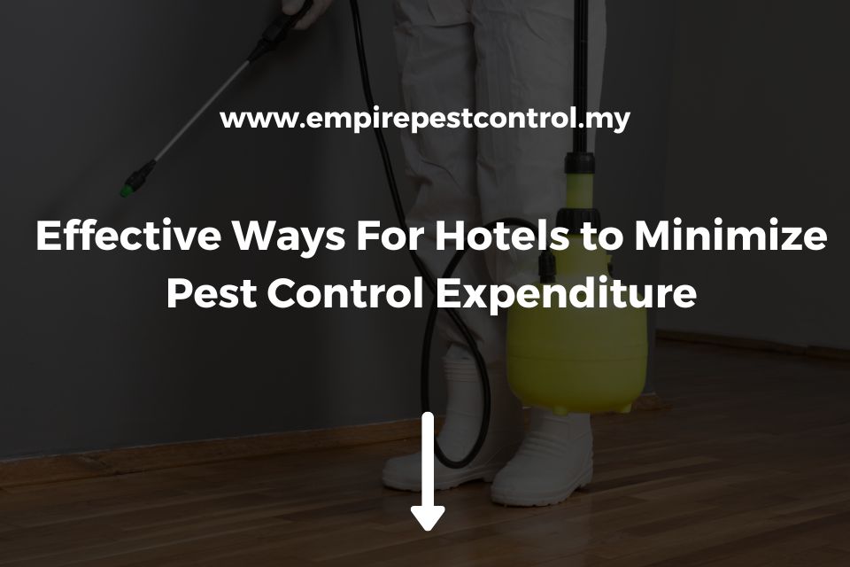 Effective Ways For Hotels to Minimize Pest Control Expenditure