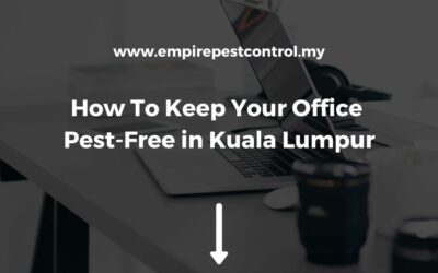 How To Keep Your Office Pest-Free in Kuala Lumpur