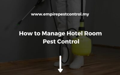 How to Manage Hotel Room Pest Control