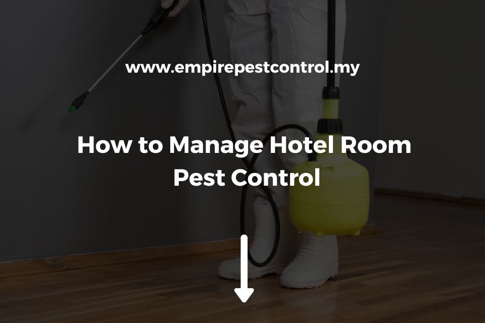 How to Manage Hotel Room Pest Control