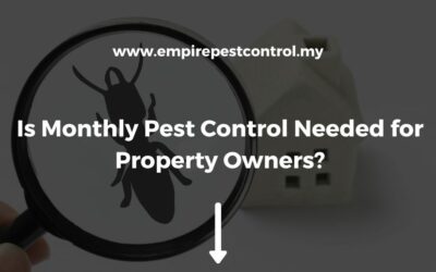 Is Monthly Pest Control Needed for Property Owners?