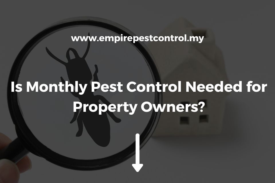 Is Monthly Pest Control Needed for Property Owners