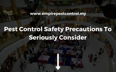 Pest Control Safety Precautions To Seriously Consider