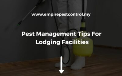Pest Management Tips For Lodging Facilities