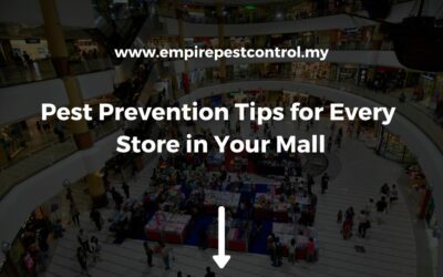 Pest Prevention Tips for Every Store in Your Mall