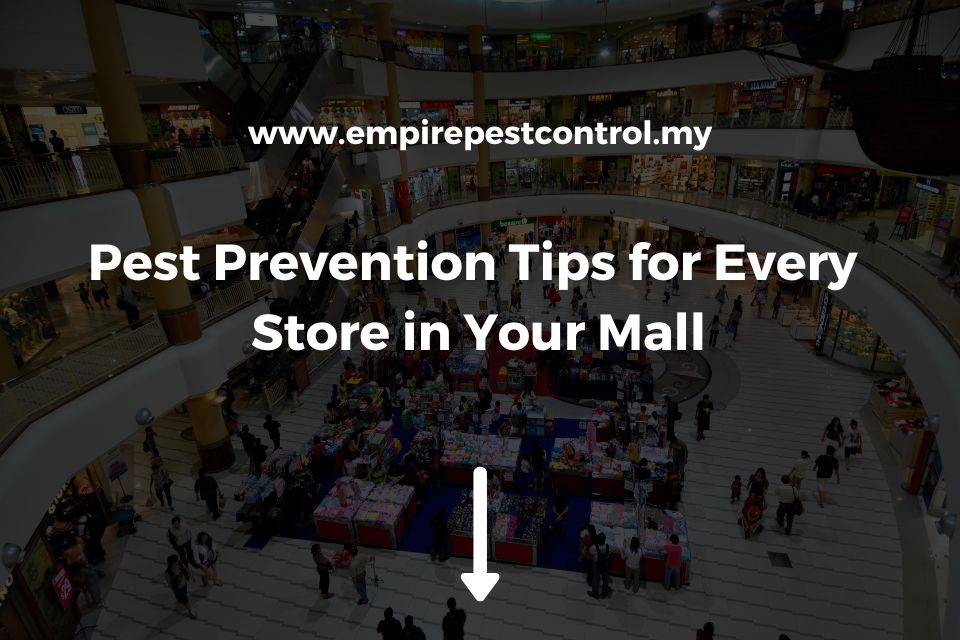 Pest Prevention Tips for Every Store in Your Mall