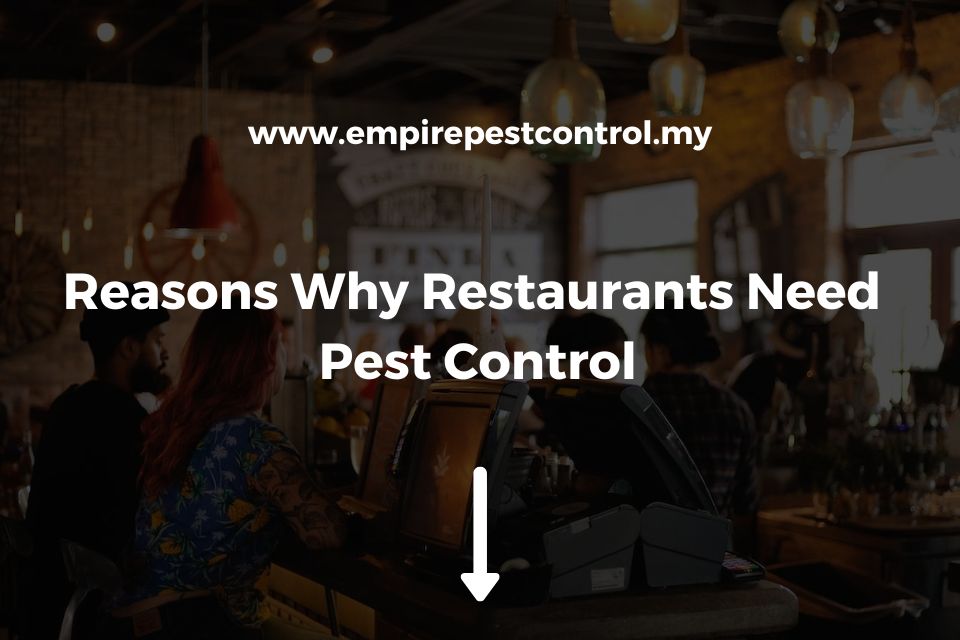 Reasons Why Restaurants Need Pest Control