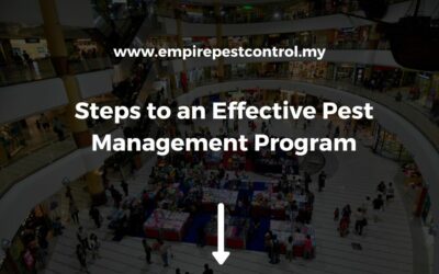 Steps to an Effective Pest Management Program