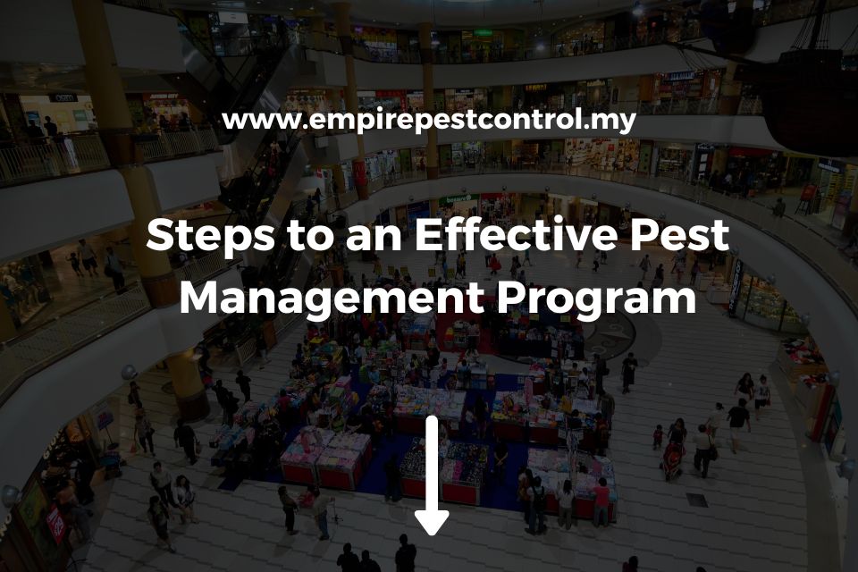 Steps to an Effective Pest Management Program