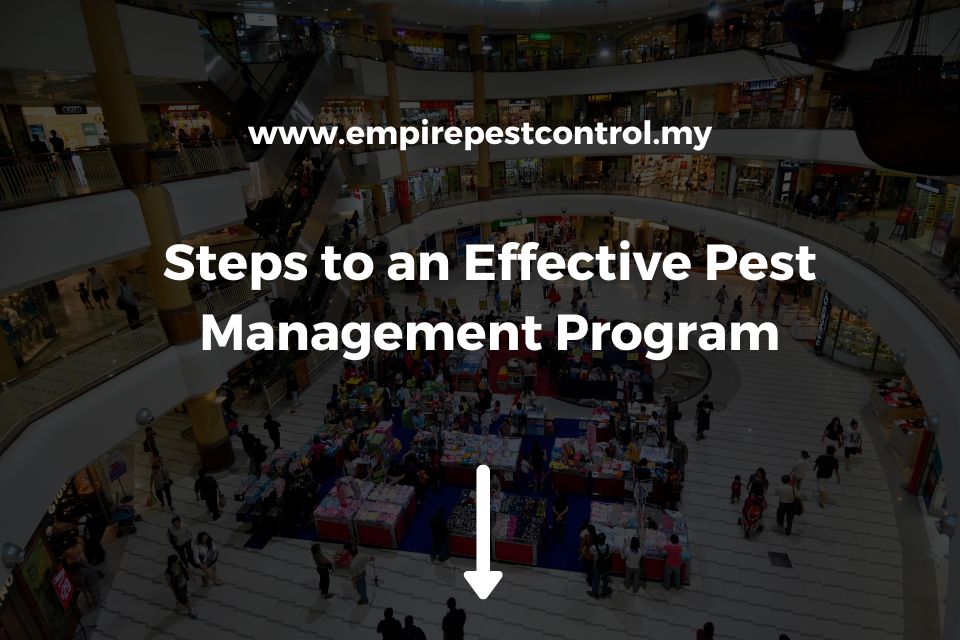 Steps to an Effective Pest Management Program