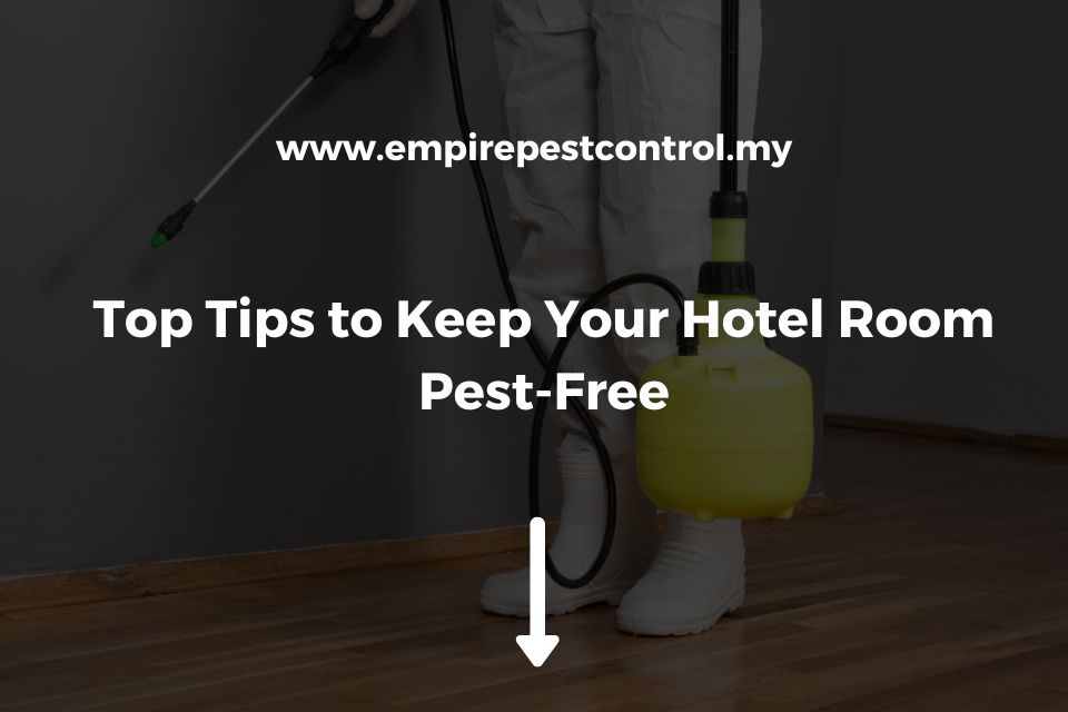 Top Tips to Keep Your Hotel Room Pest-Free