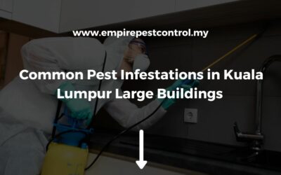 Common Pest Infestations in Kuala Lumpur Large Buildings