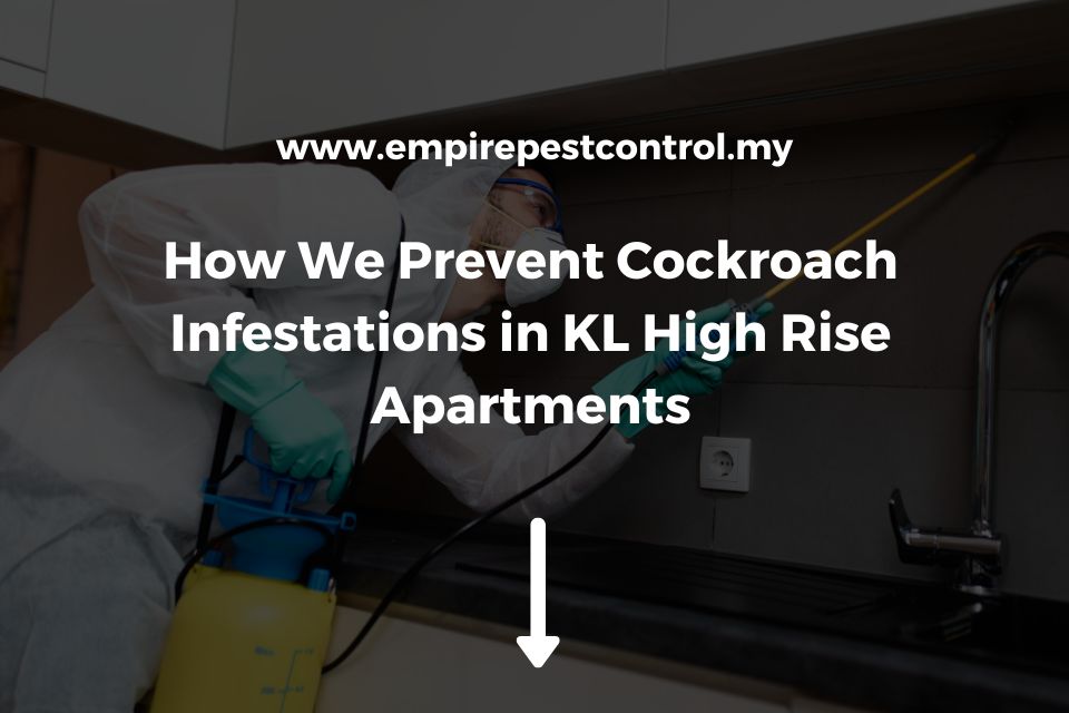 How We Prevent Cockroach Infestations in KL High Rise Apartments