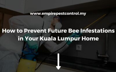 How to Prevent Future Bee Infestations in Your Kuala Lumpur Home