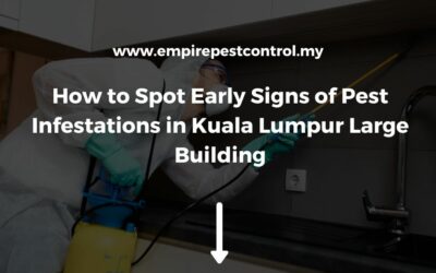 How to Spot Early Signs of Pest Infestations in Kuala Lumpur Large Building