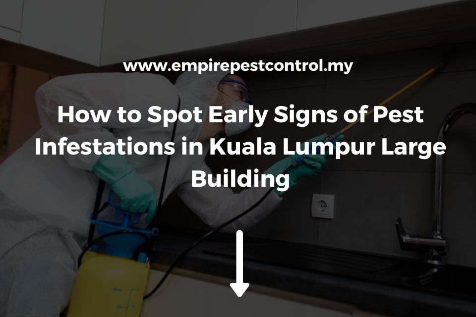 How to Spot Early Signs of Pest Infestations in Kuala Lumpur Large Building