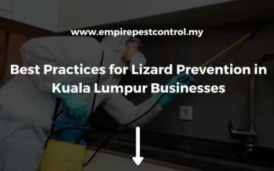 Best Practices for Lizard Prevention in Kuala Lumpur Businesses