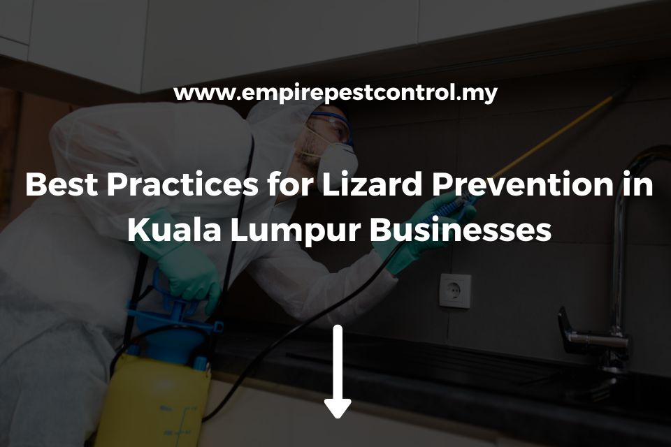 Best Practices for Lizard Prevention in Kuala Lumpur Businesses