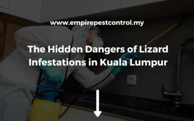 The Hidden Dangers of Lizard Infestations in Kuala Lumpur