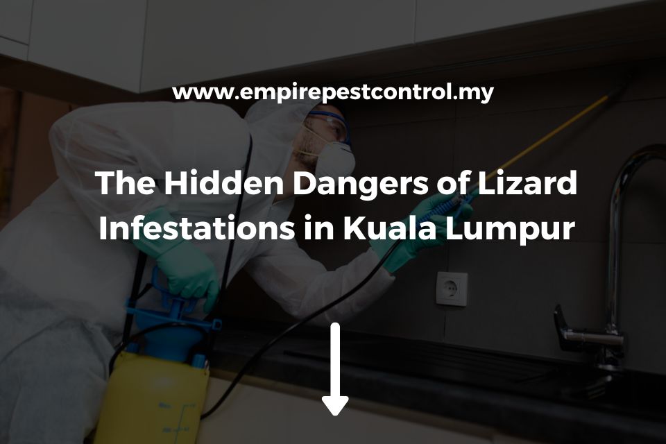 The Hidden Dangers of Lizard Infestations in Kuala Lumpur