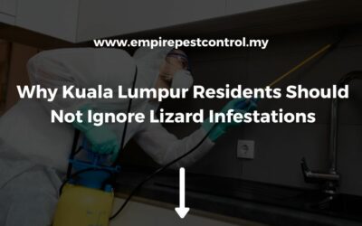 Why Kuala Lumpur Residents Should Not Ignore Lizard Infestations