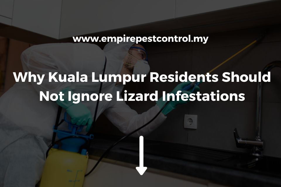 Why Kuala Lumpur Residents Should Not Ignore Lizard Infestations