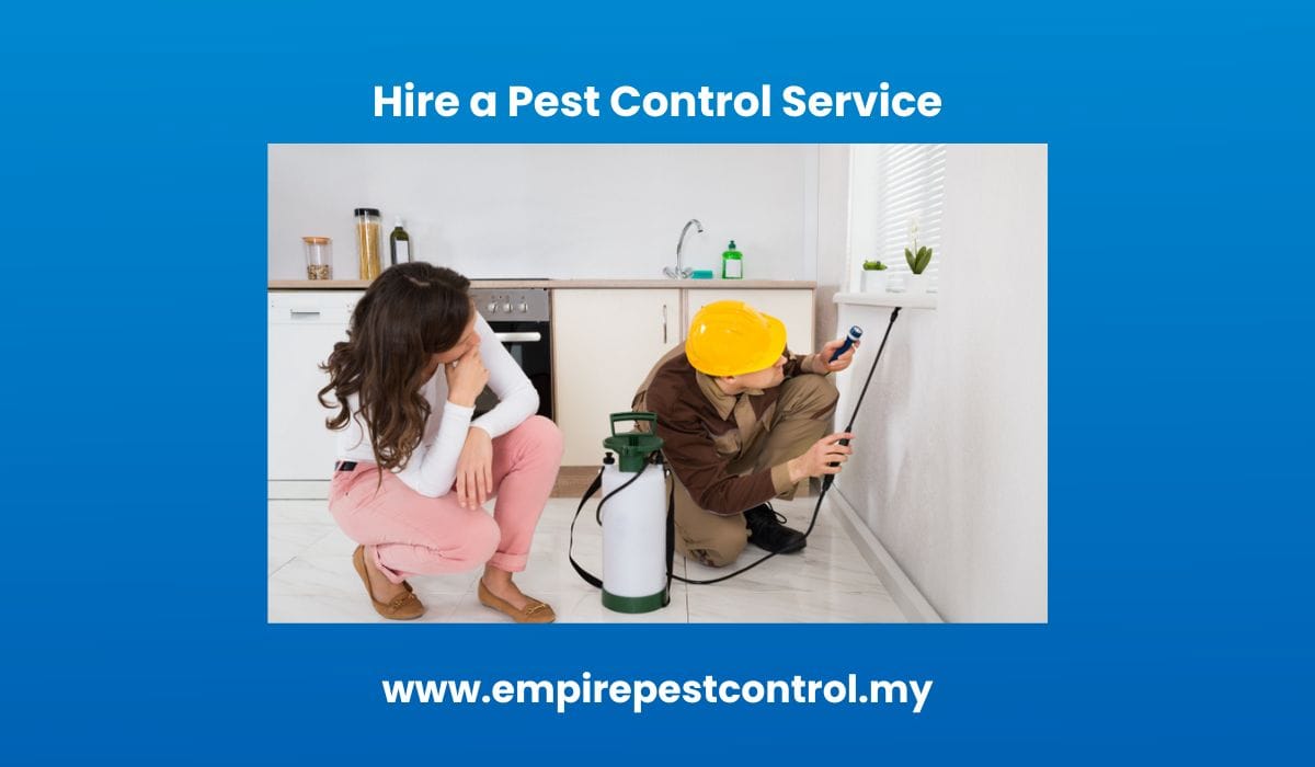 Hire a Pest Control Service