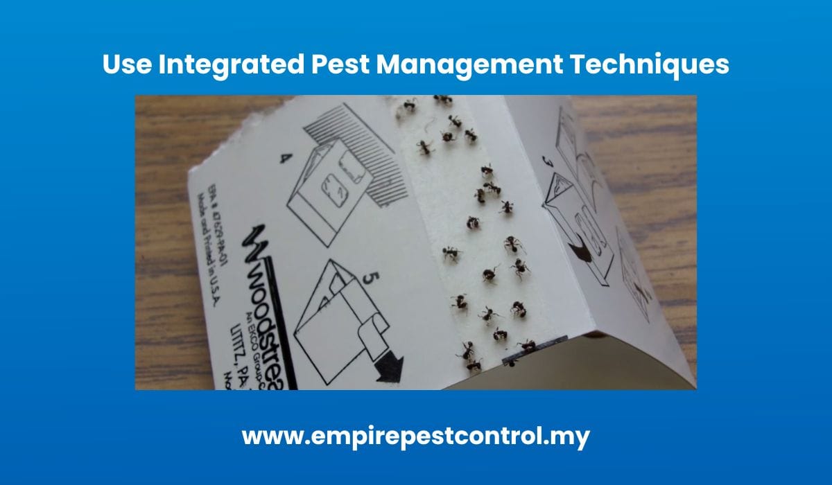 Use Integrated Pest Management Techniques