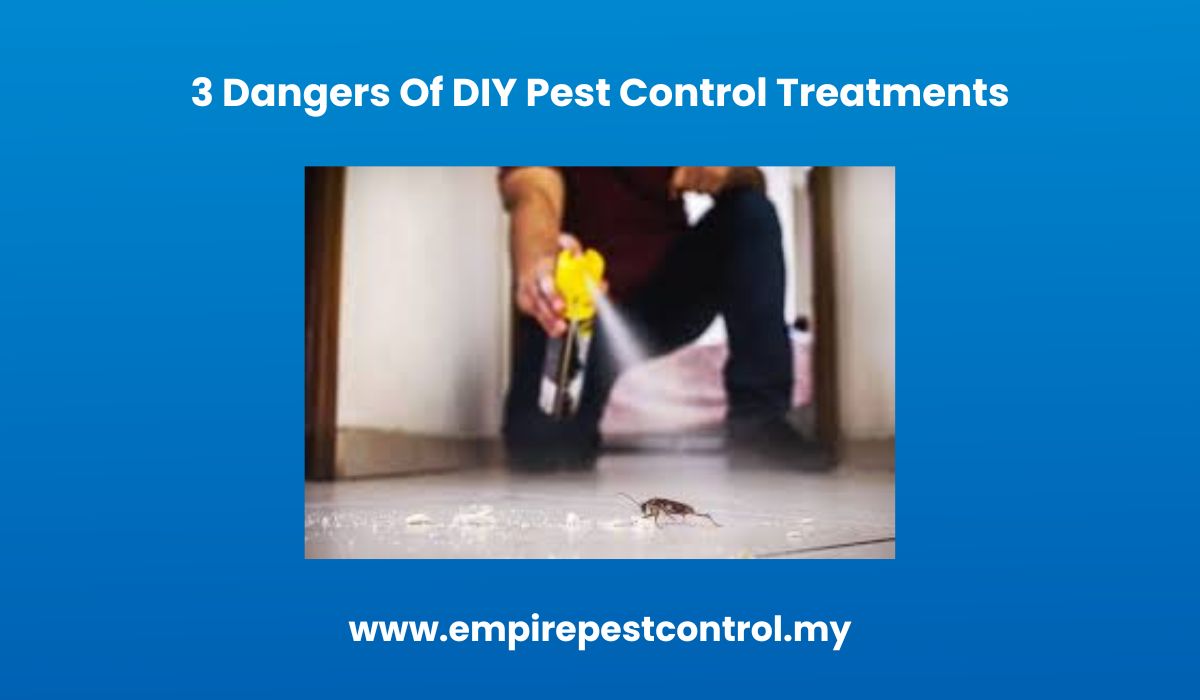 3 Dangers Of DIY Pest Control Treatments