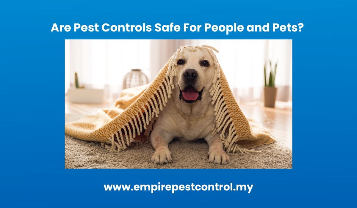 Are Pest Controls Safe For People and Pets?