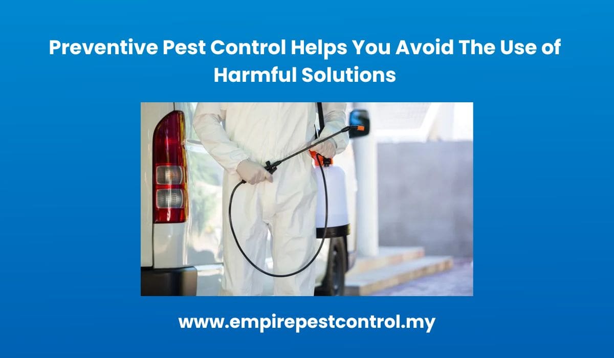 Preventive Pest Control Helps You Avoid The Use of Harmful Solutions 