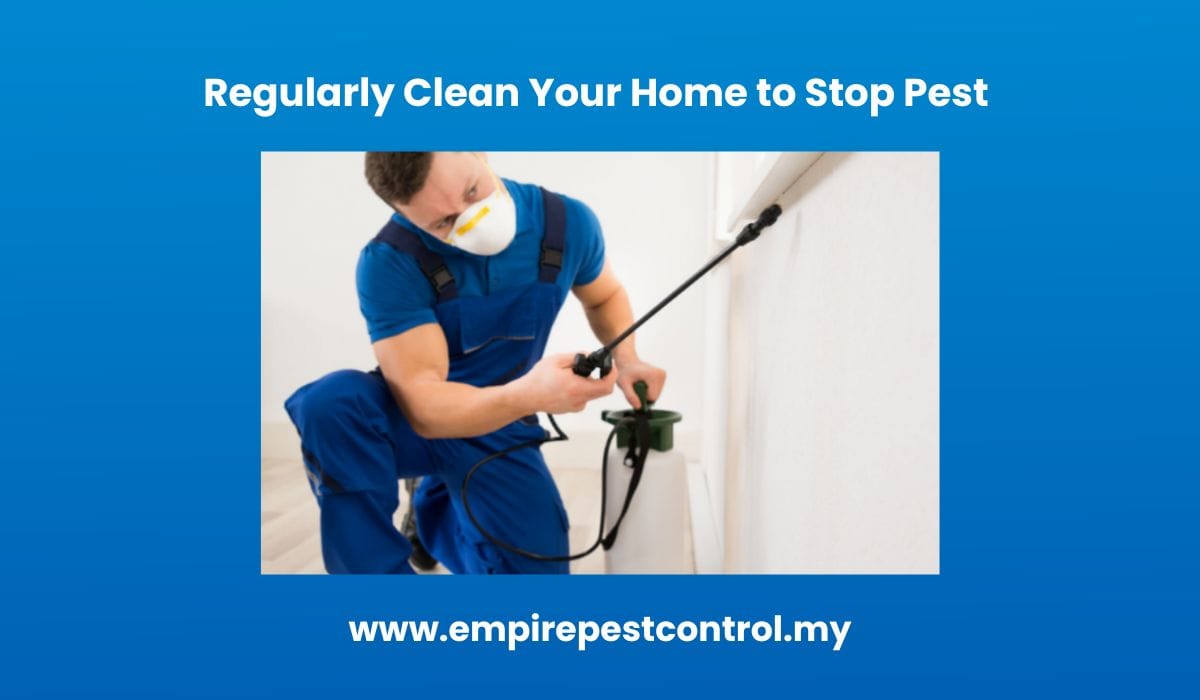 Regularly Clean Your Home to Stop Pest 
