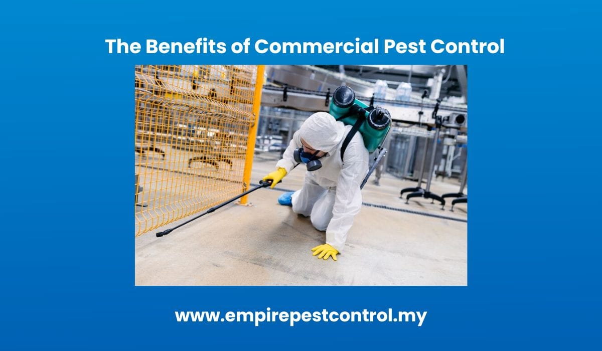 The Benefits of Commercial Pest Control 