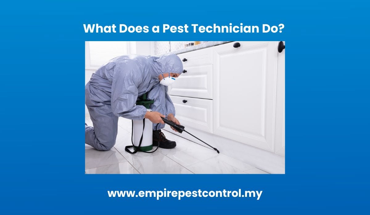 What Does a Pest Technician Do? 